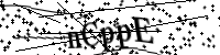 Si prega di digitare le lettere e i numeri qui sotto