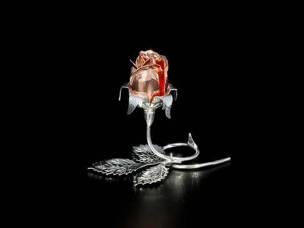 Rosa - Bocciolino