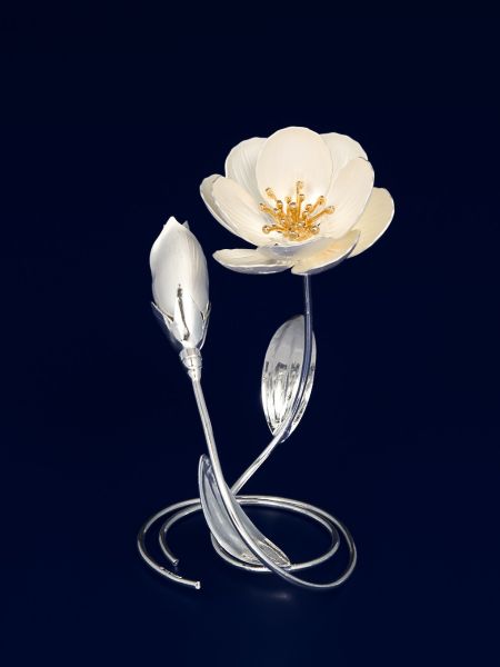Anemone 1 fiore da tavolo