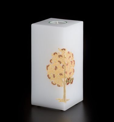 Alberi: Candela torre media