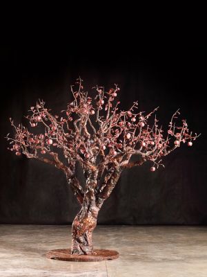 Alberi delle grandi madri: il melo